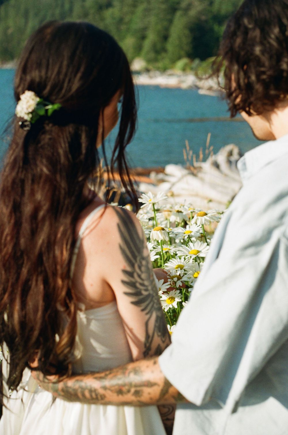 Close-up view of daisies with ocean and mountains in the background.