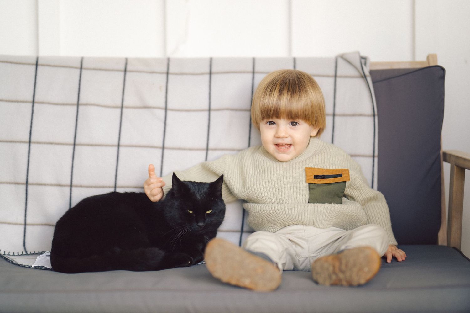 A small black cat rests near white tiled walls next to some gray plush cushions.