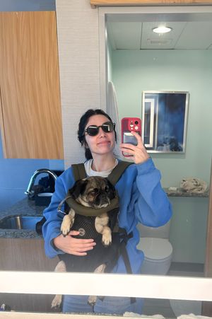 A person in a blue shirt holds and plays with a small brown dog in an office setting.