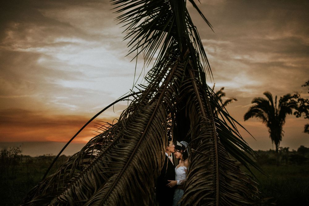 Romantic sunset wedding photo framed through palm fronds in a tropical setting.