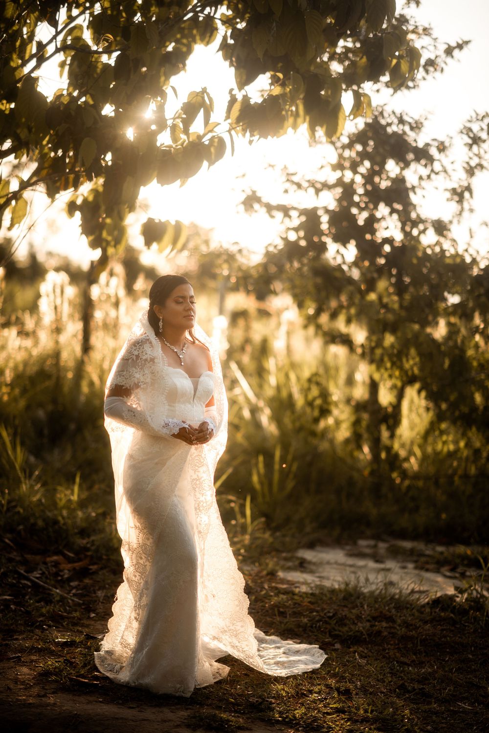 A lace wedding dress glows in golden sunlight filtering through Spanish moss and trees in a dreamy outdoor setting.