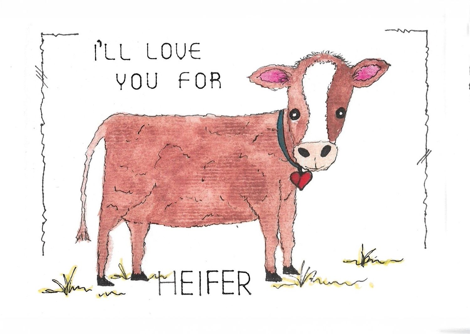 Simple line drawing of a pink cow with text about heifer.