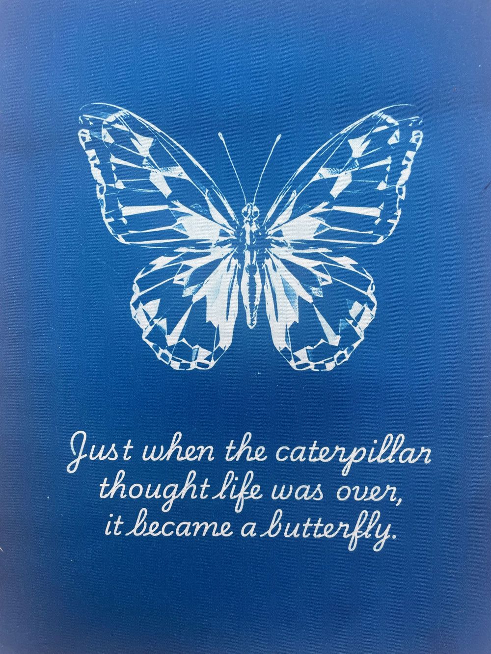 White butterfly illustration on blue background with inspirational quote about transformation and change.