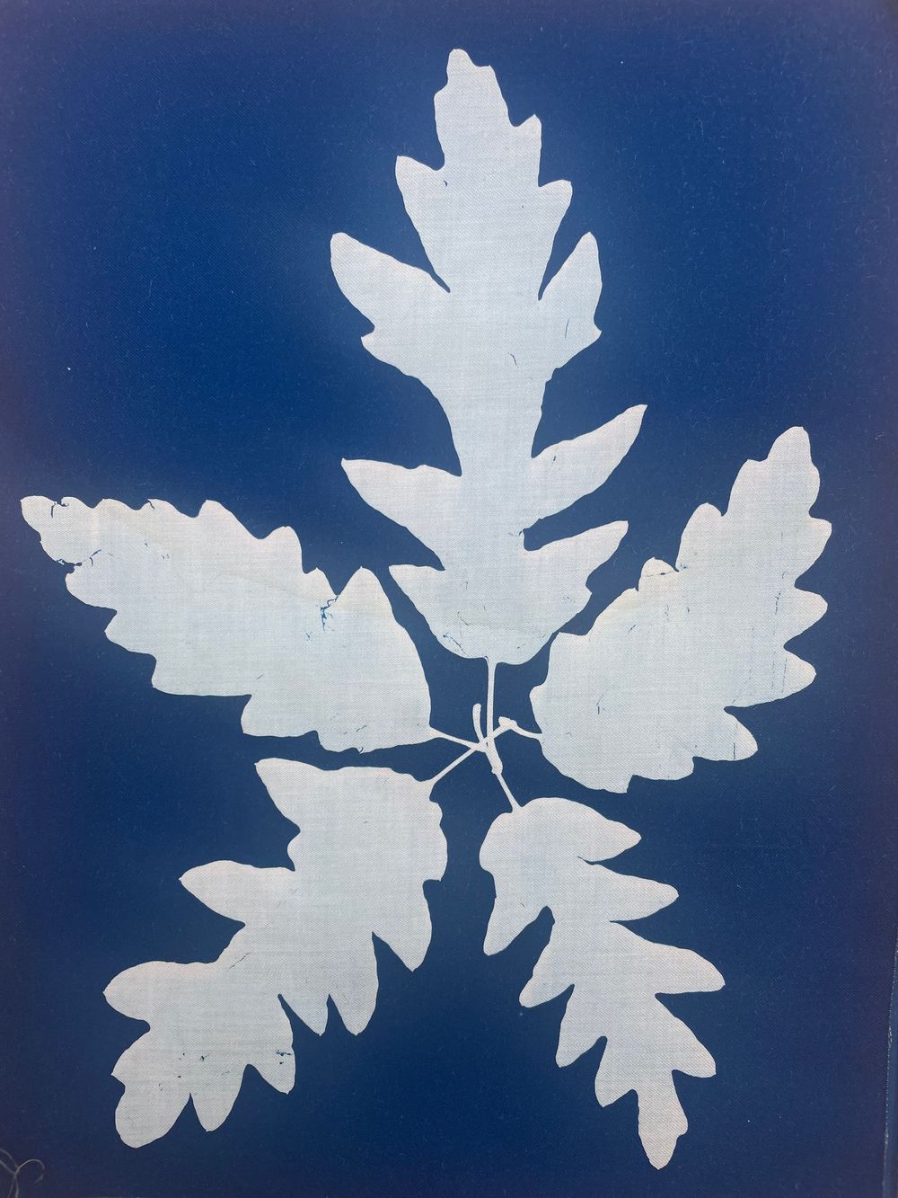 White paper snowflakes with delicate cutout patterns displayed against a dark blue background.