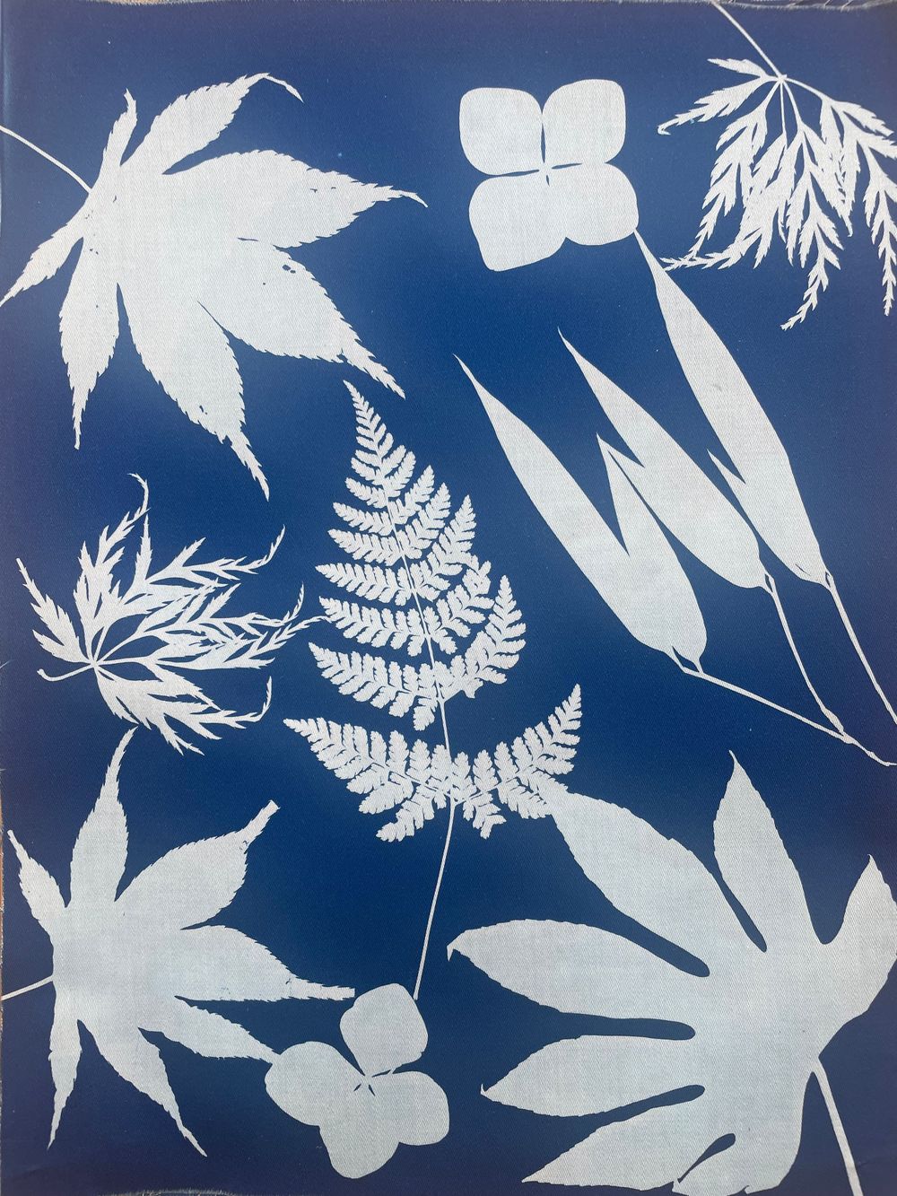 Cyanotype botanical print showing white silhouettes of maple leaves, ferns, and flowers against a deep blue background.