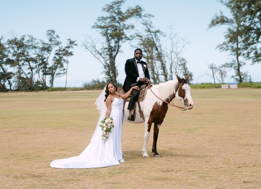 A sequence of romantic wedding photos showing a couple with their horse in an outdoor field setting.
