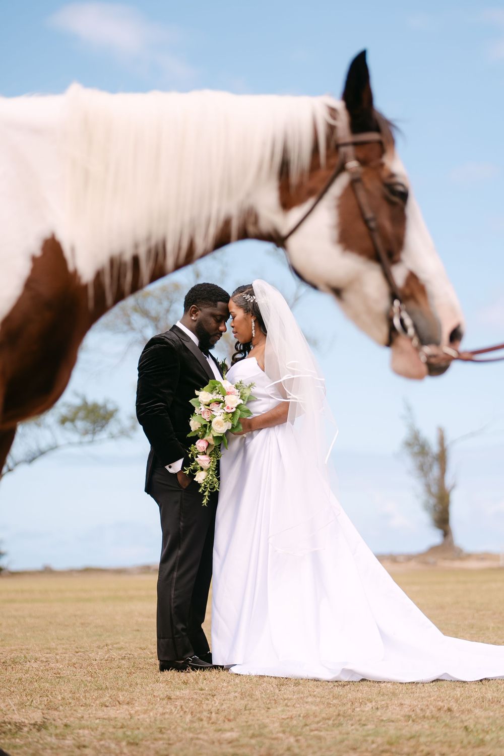 A wedding couple poses in formal attire with white horses in the background on a sunny day.