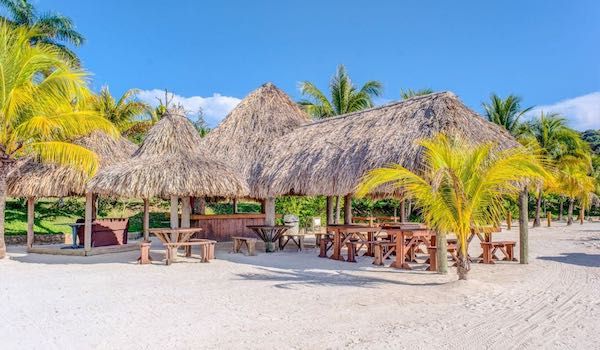 Beachfront tiki huts with palm trees and lounge chairs on white sandy beach.
