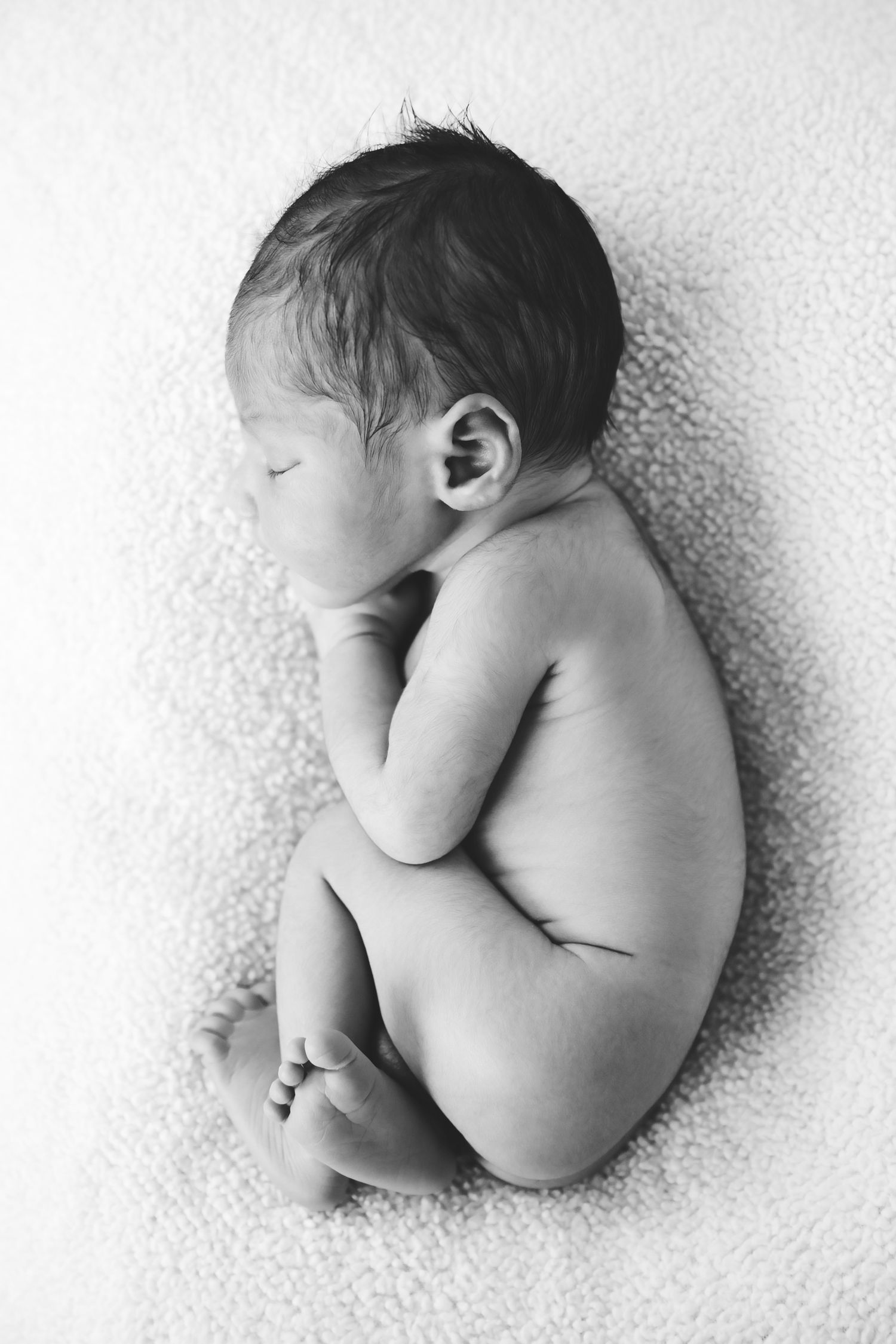 newborn photos, newborn photo session, newborn portraits, best newborn photographer Thornton, best newborn photographer Denver, cute newborn