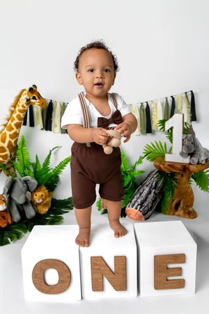 Safari-themed first birthday photo with wooden letters spelling 'ONE' alongside plush animals and tropical leaves.