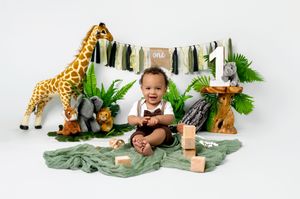 Safari themed nursery setup with toy giraffe, elephant and decorative elements on a green blanket.