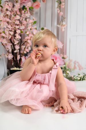 Sweet baby in pink tulle dress crawls on white floor with cherry blossoms in background.