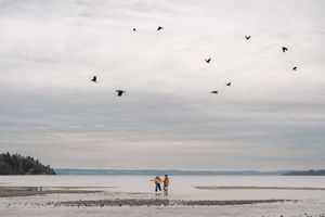 Two silhouettes walk along a misty beach shore as birds fly overhead against a moody gray sky.