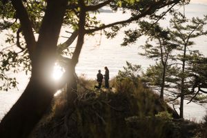 Sun rays peek through evergreen trees silhouetting branches against a bright sky during golden hour.