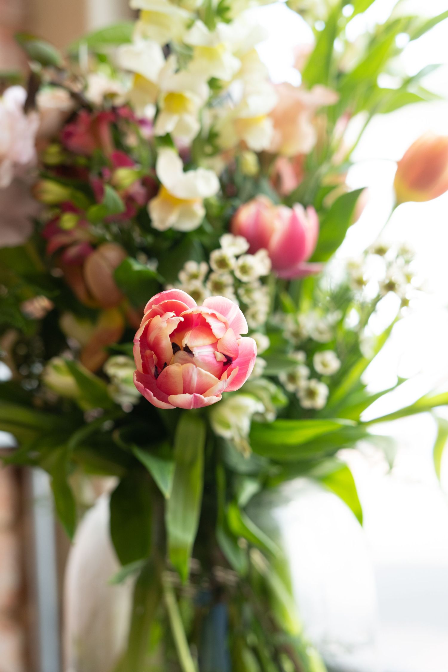 Product photography, brand photography and social media content creation | BLOOM Fabulous Photography | Tunbridge Wells | Kent