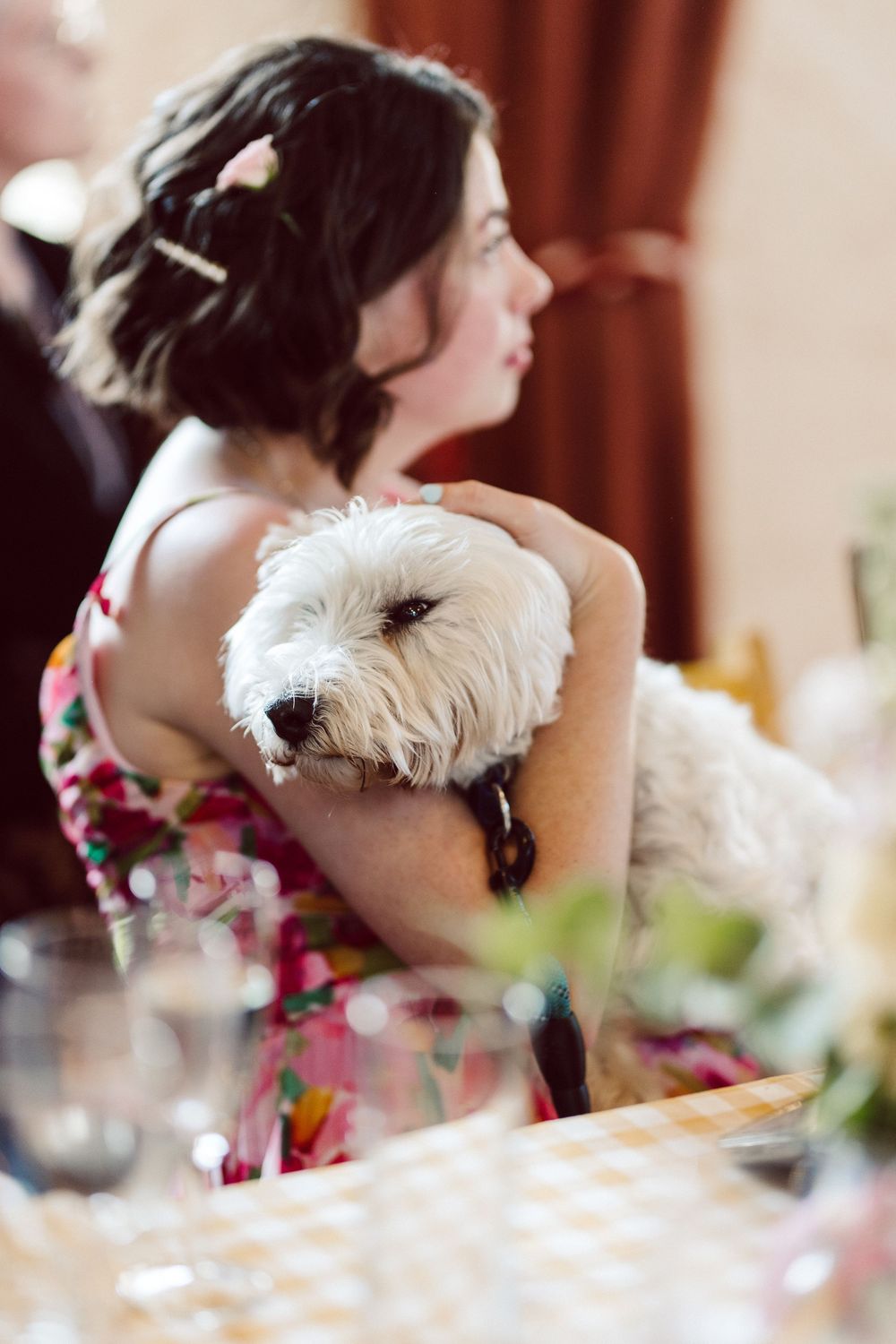 A small white dog gives affectionate kisses while sitting at a dining table during what appears to be a celebration.