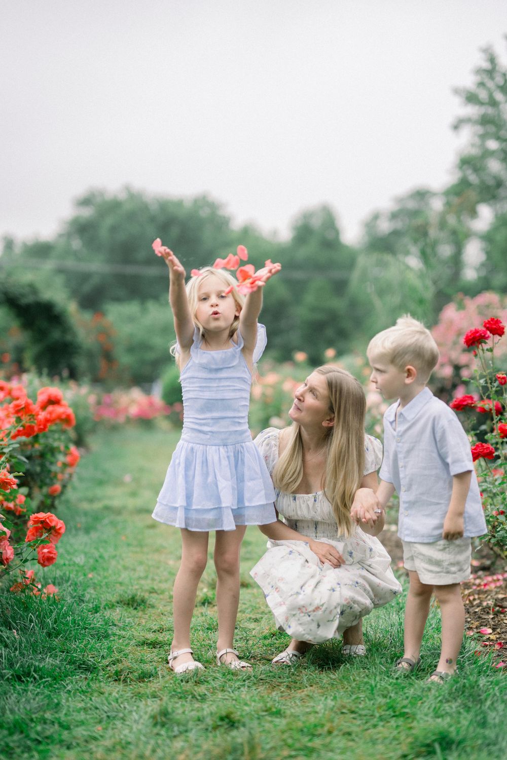 Family in coordinated blue and white outfits exploring a vibrant red rose garden on a summer day.
