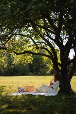 Rustic wicker basket and white blanket set up for picnic under sprawling tree branches.