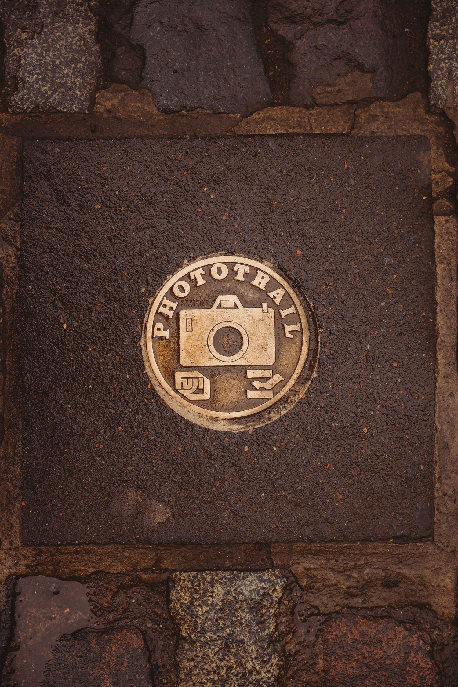 Vintage camera icons embedded in brick wall texture create an artistic photography-themed installation.