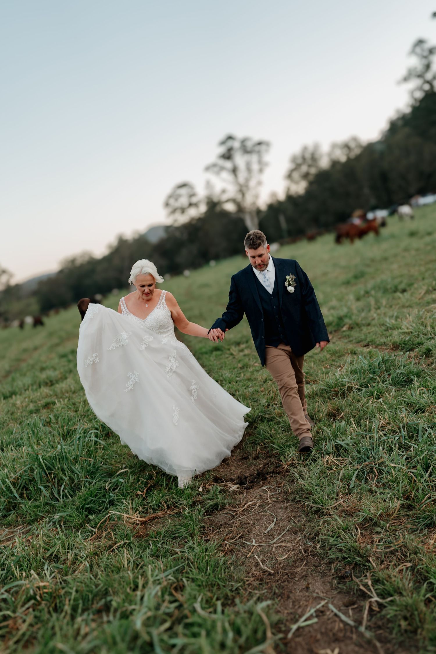Bride and groom walk hand-in-hand through a green pastoral field at dusk, with cattle grazing in the background.