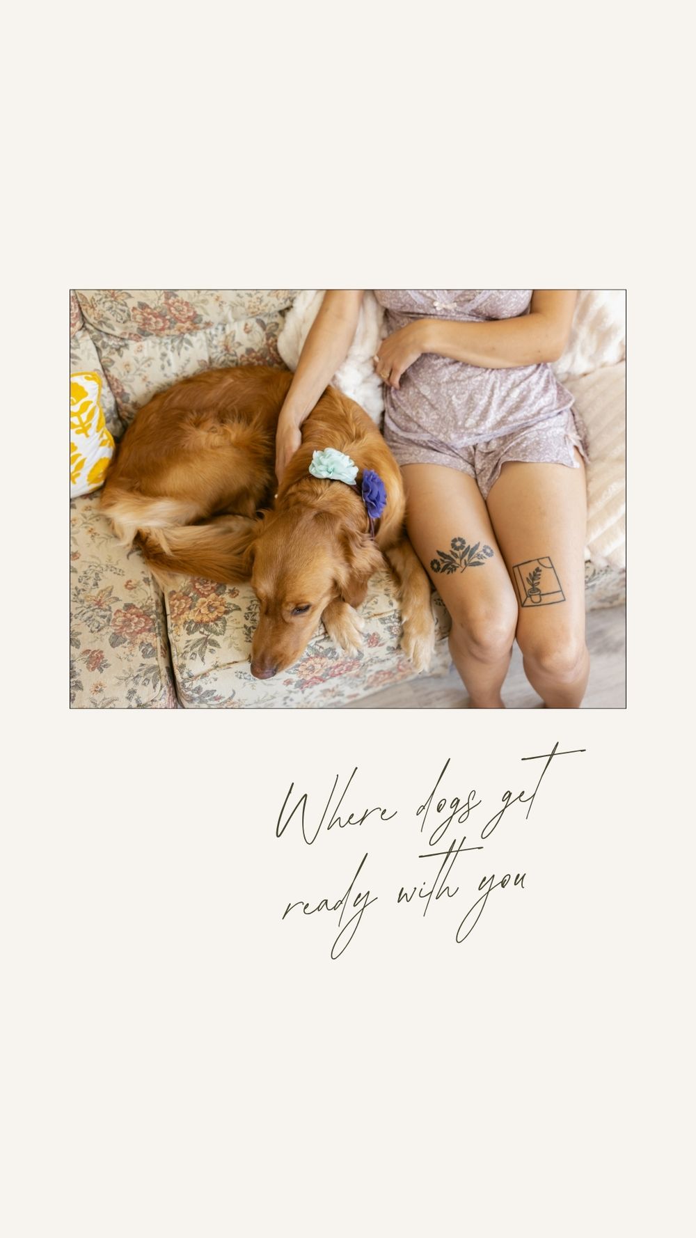 A golden retriever rests on floral couch beside bridesmaid with tattoos on legs, with text reading Where dogs get ready with you.