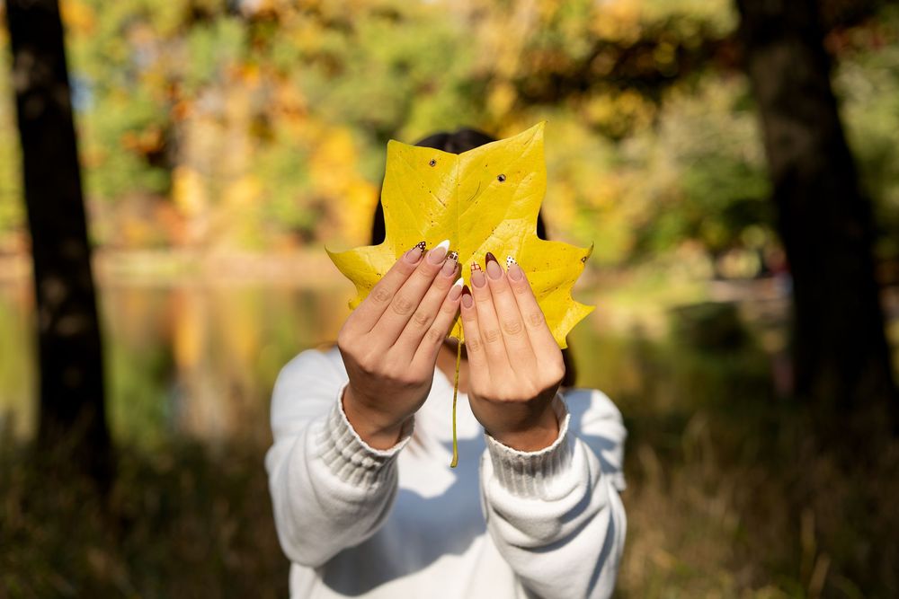 Person in a white sweater holds a large yellow autumn maple leaf over their face in a sunny forest beside a calm lake.