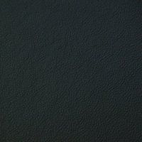 Echtleder Black