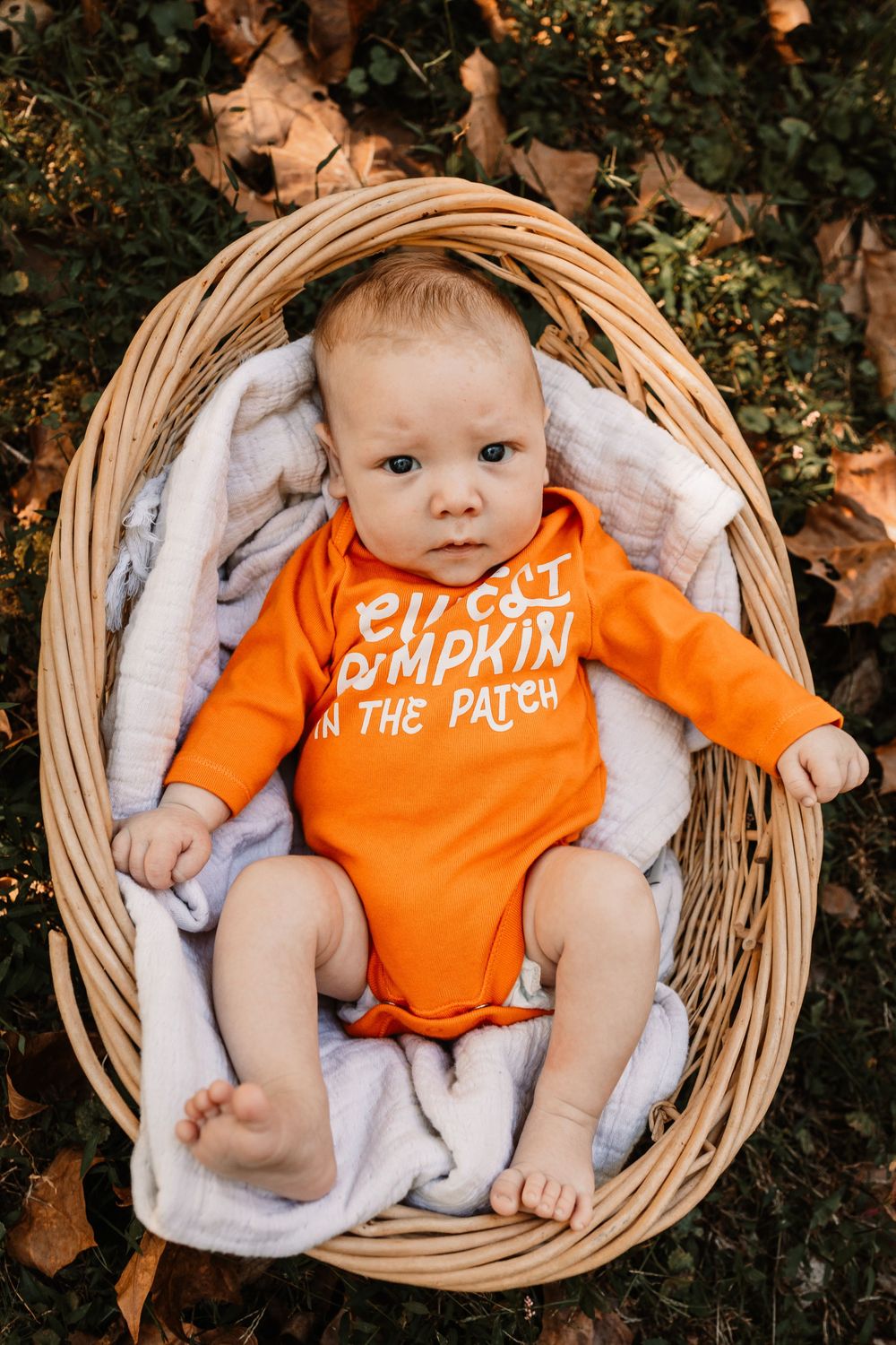 Baby boy lying in a wicker basket in  autumn leaves during a lifestyle family photography session in Oak Ridge, Tennessee.