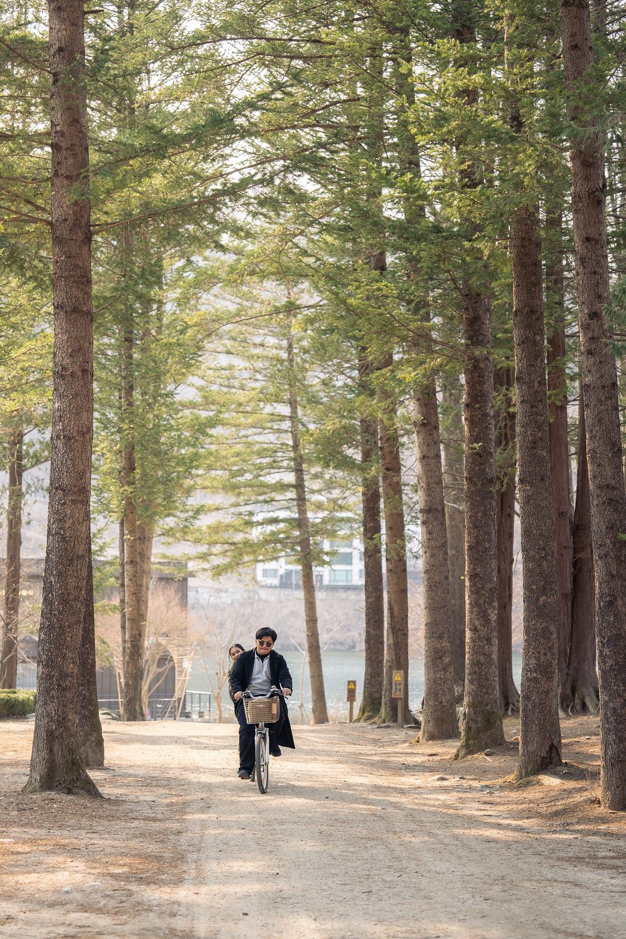 Couple riding a bicycle together along a serene tree-lined dirt path in a lush forest park.