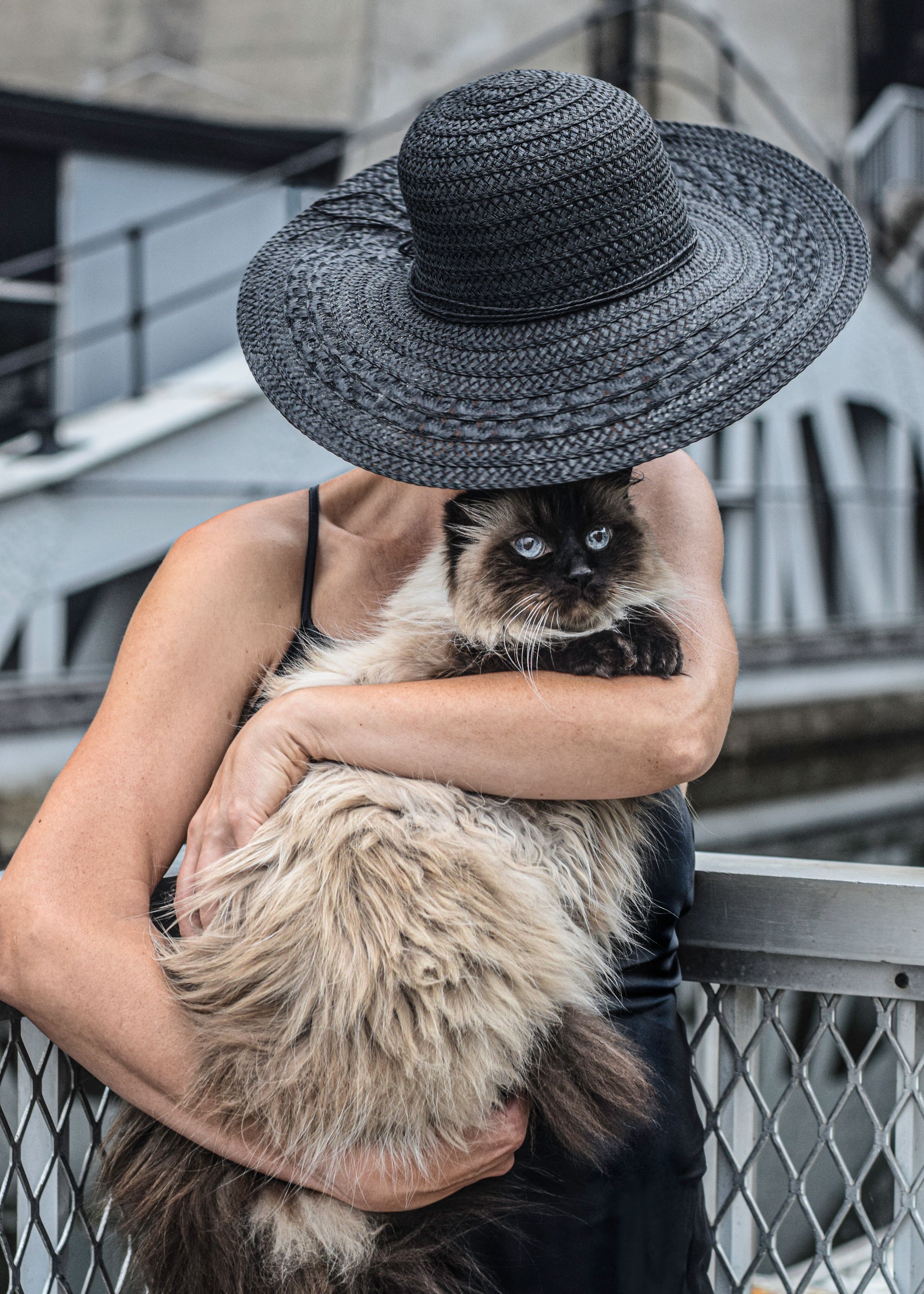 A woman in a wide-brim black hat holds a long-haired Ragdoll cat outdoors.