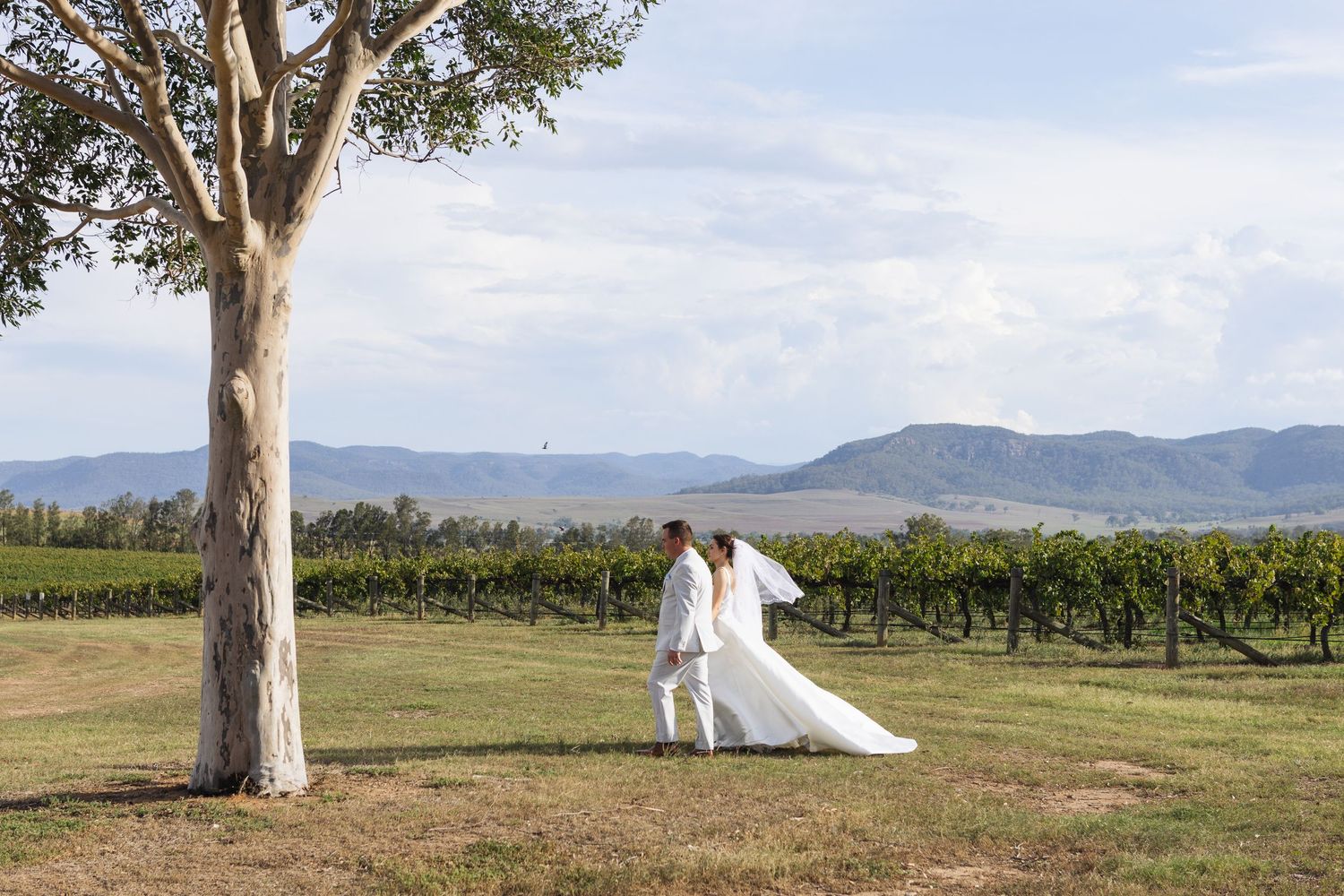 Bride and groom walking holding hands with view of mountains and vines at Two Rivers Winery Wedding in Denman