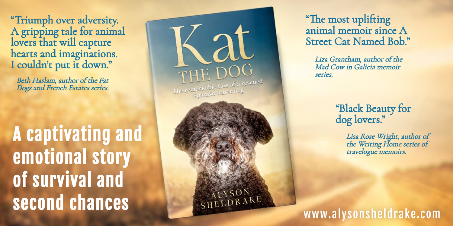 Kat the Dog book by Alyson Sheldrake with captivating survival story reviews and author credentials displayed.