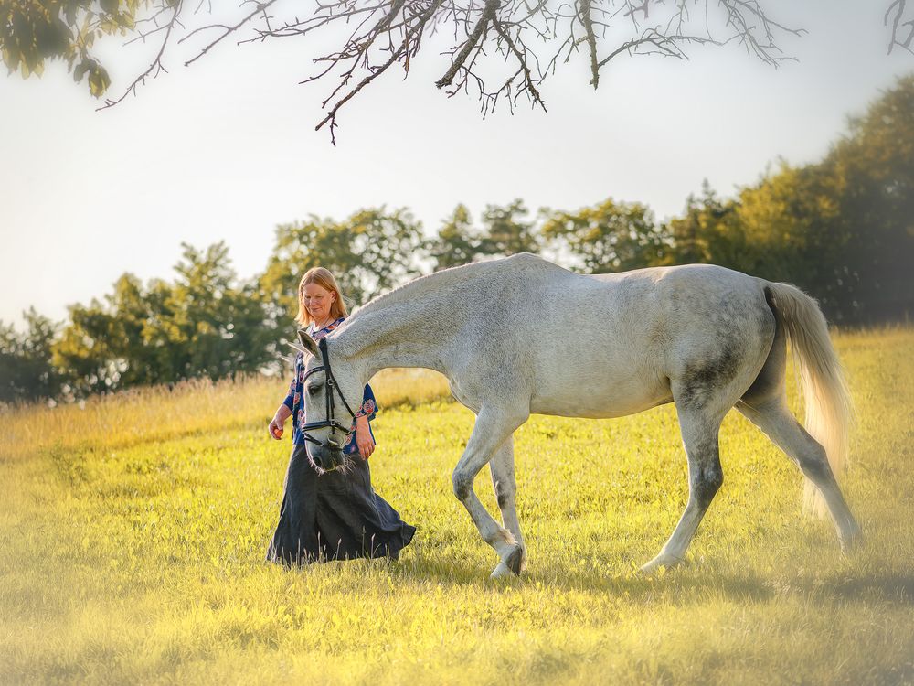 Frau führt Schimmel über sonnige Wiese. Outdoor-Tierfotografie von Conny Hutzler in Gasseldorf.