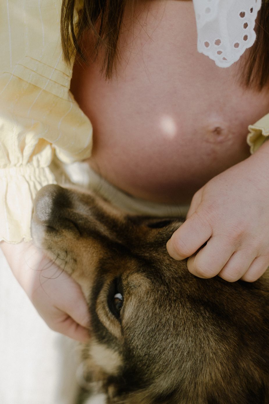 A young child in a yellow dress gently holds a brown dog's head close to her chest.