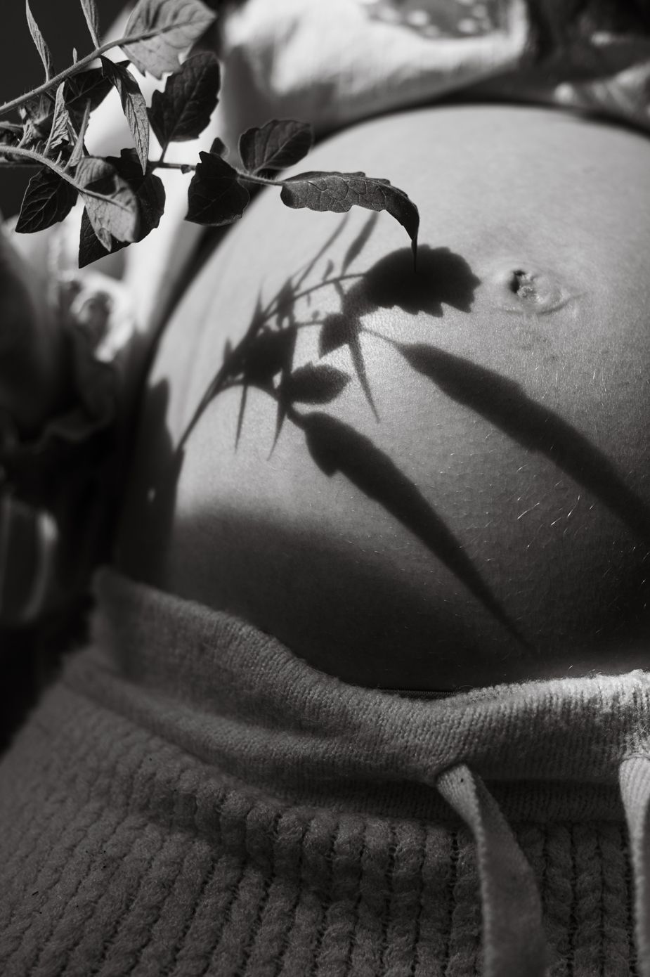 Black and white photo of a pregnant belly with leaf shadows cast across the skin in natural sunlight.