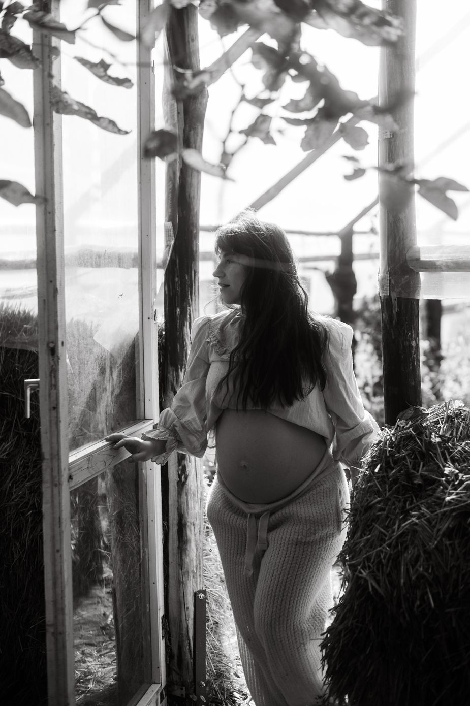 Black and white maternity photo of pregnant woman in open shirt posing in rustic greenhouse with hay bales.