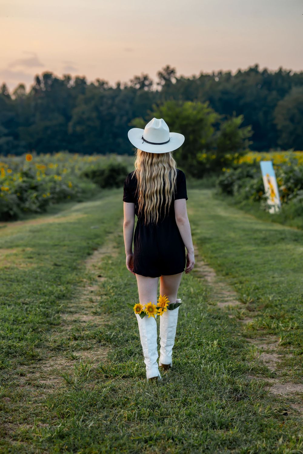 Woman in white cowboy hat, black dress, and white boots walks through sunflower field at sunset holding yellow flowers.