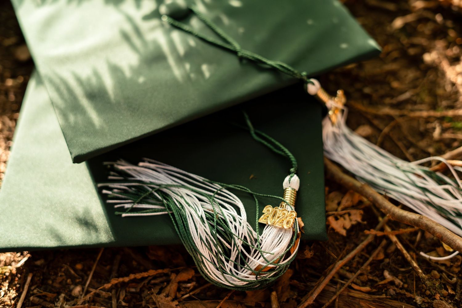 Green graduation cap with silver and gold tassel rests on pine needles in sunlight.