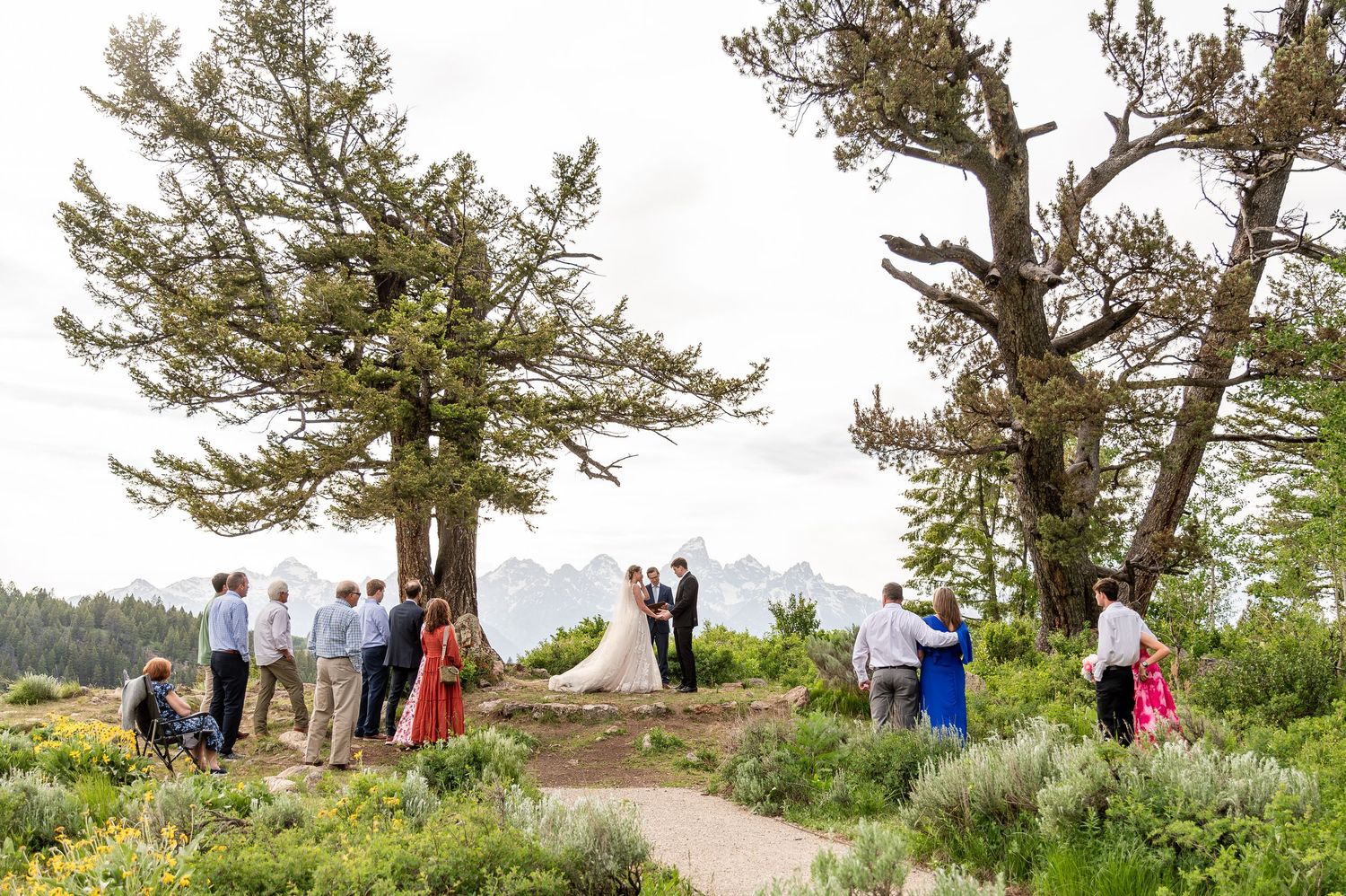 Intimate Ceremony at the Wedding Tree in Jackson Hole, Wyoming. Micro Wedding in the Tetons.
