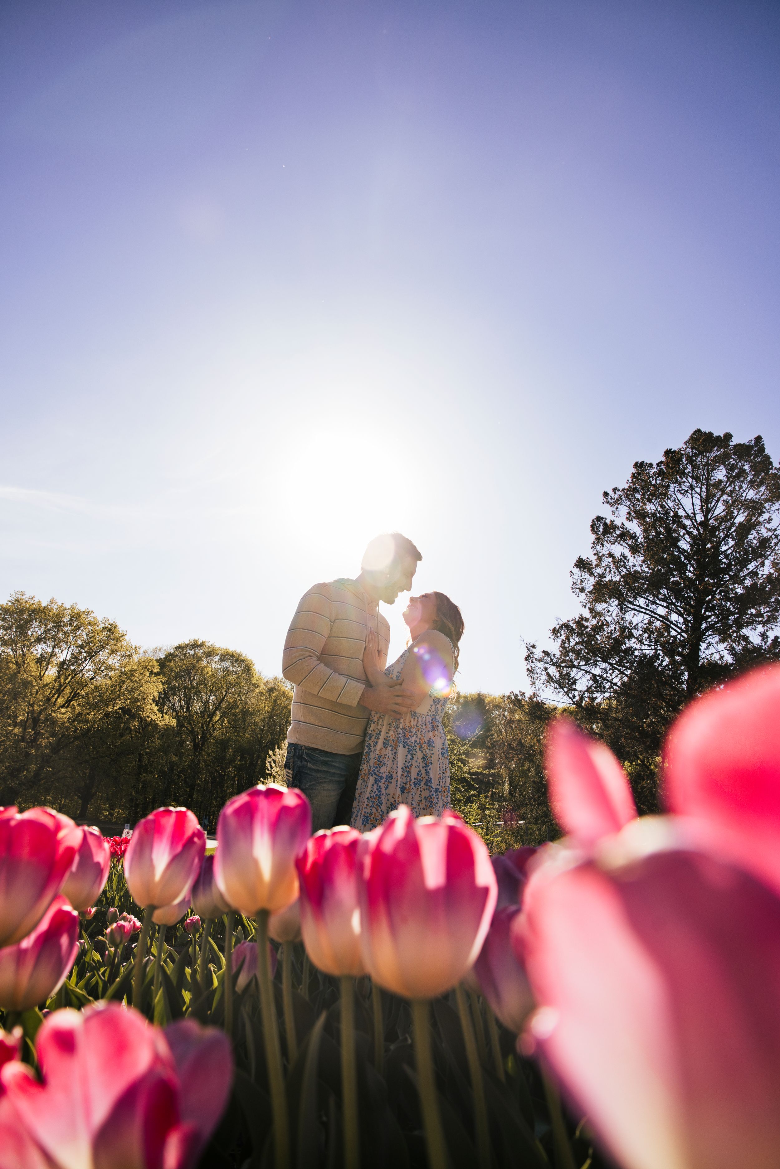 Couple sharing a romantic moment in a sunlit tulip field with pink blooms in the foreground and trees against a blue sky.