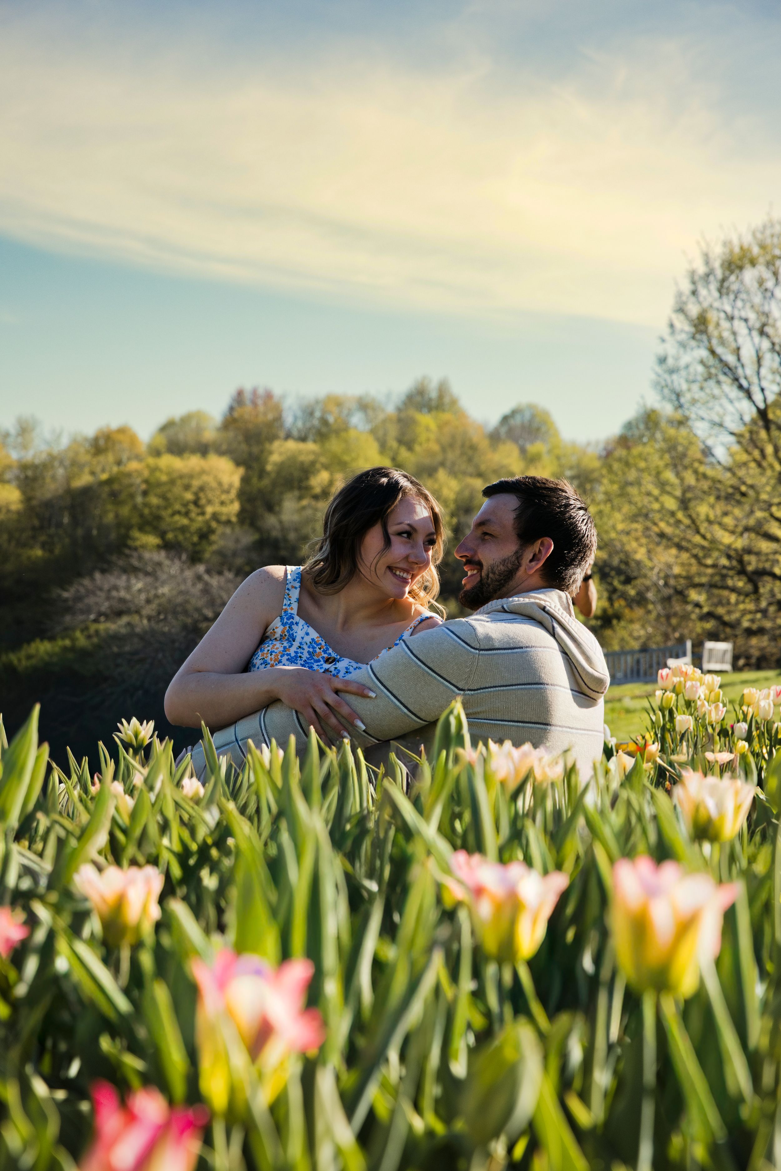 Couple embracing in a tulip field on a sunny day, surrounded by colorful blooms and lush green trees.