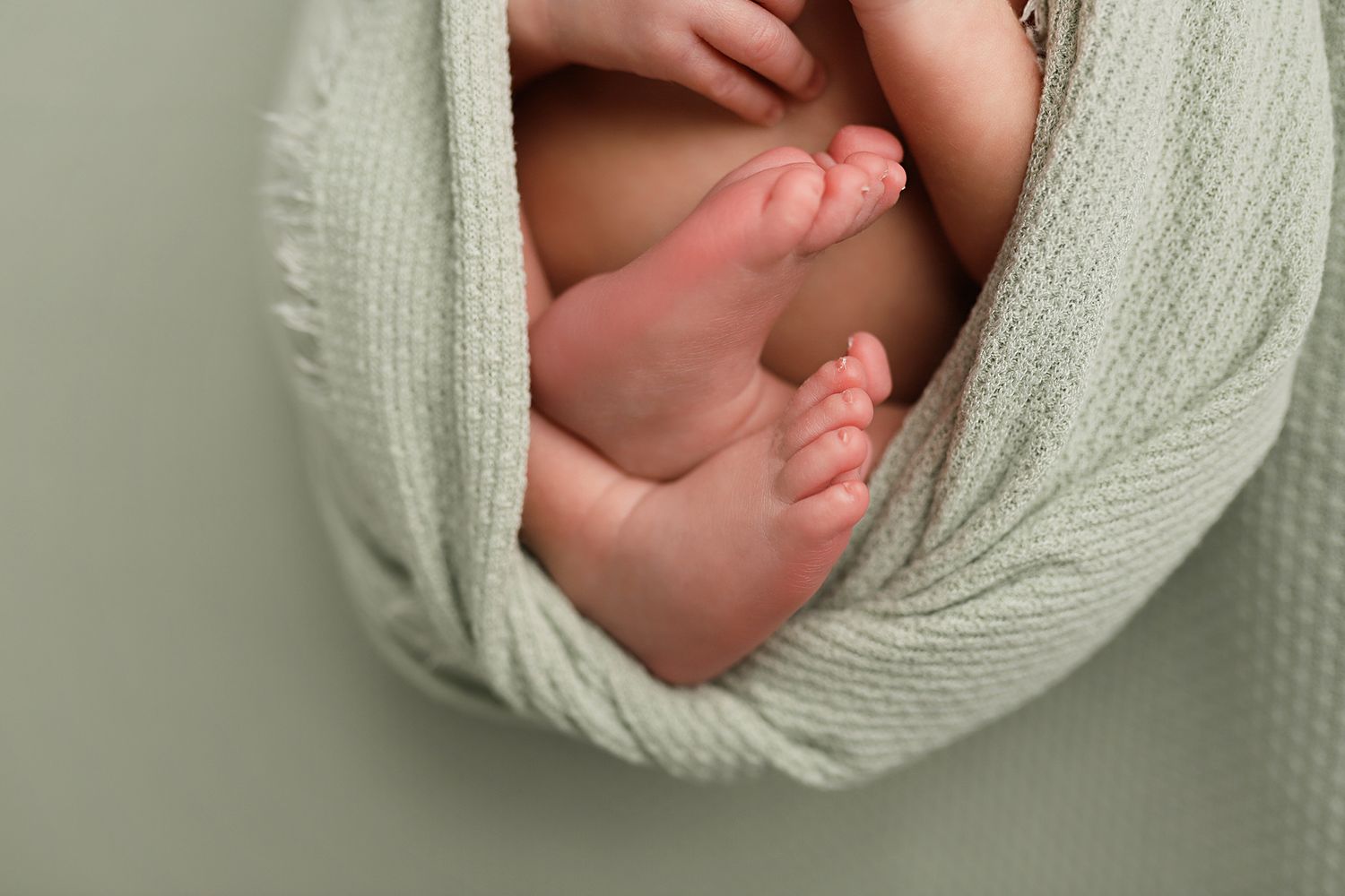 Newborn baby feet and toes peeking out of a soft sage green swaddle wrap on a green background. Utah newborn photographer.