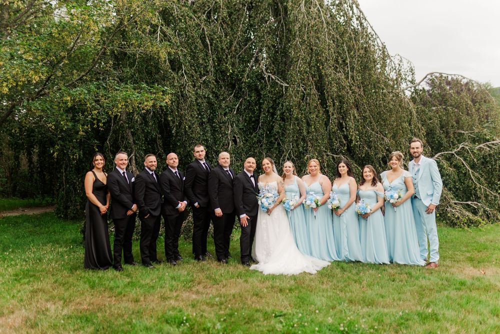 Wedding party poses outdoors under a weeping willow, groomsmen in black suits and bridesmaids in light blue gowns.