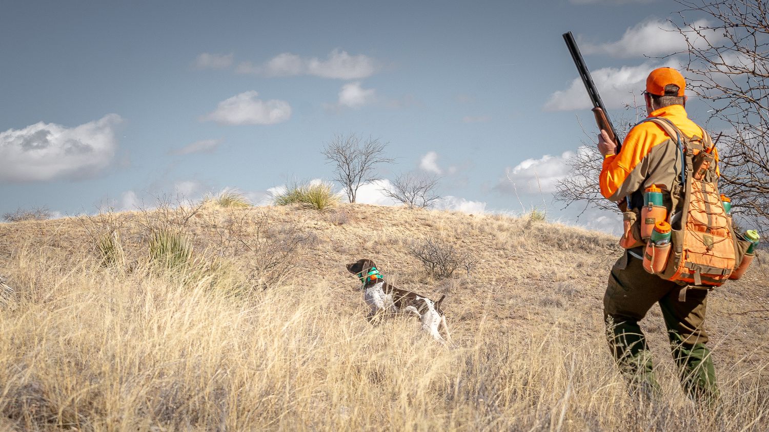 A hunting dog sits in a green tub of water beside a hunter in orange vest and waders during a field training session.
