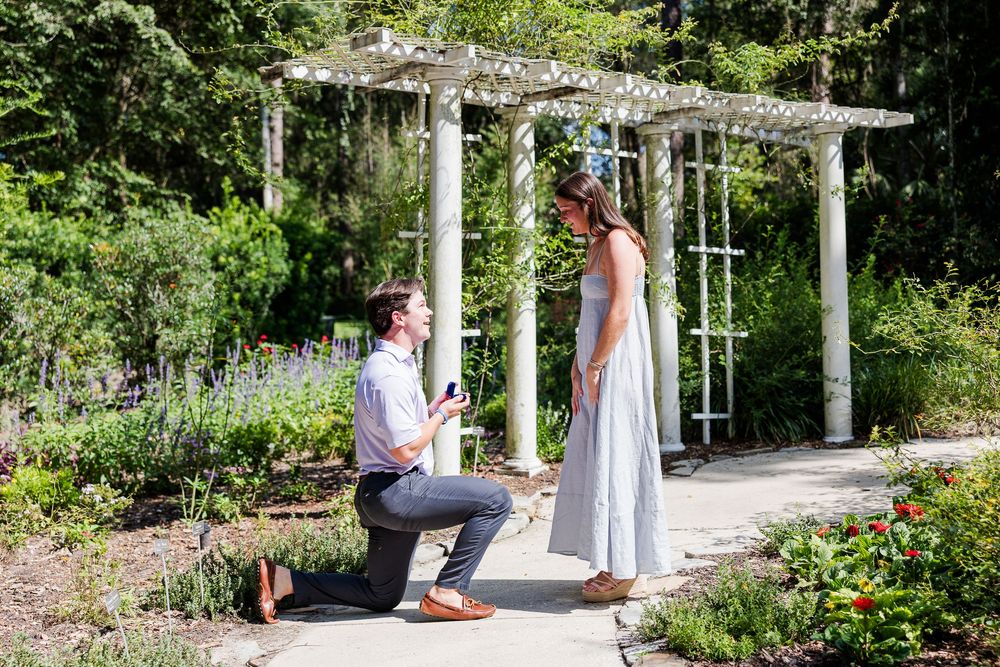 Man proposes on one knee to woman in white dress in a beautiful garden with white pergola backdrop.