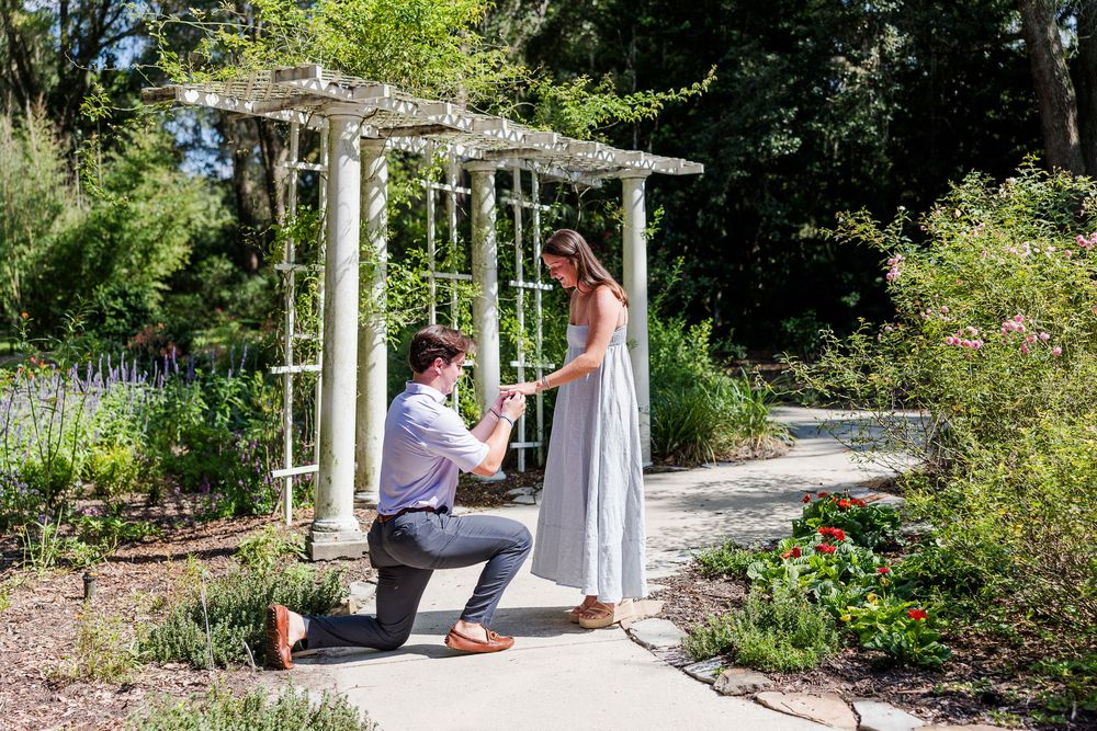 Man proposing to woman in a beautiful garden under a white pergola arbor on a sunny day.