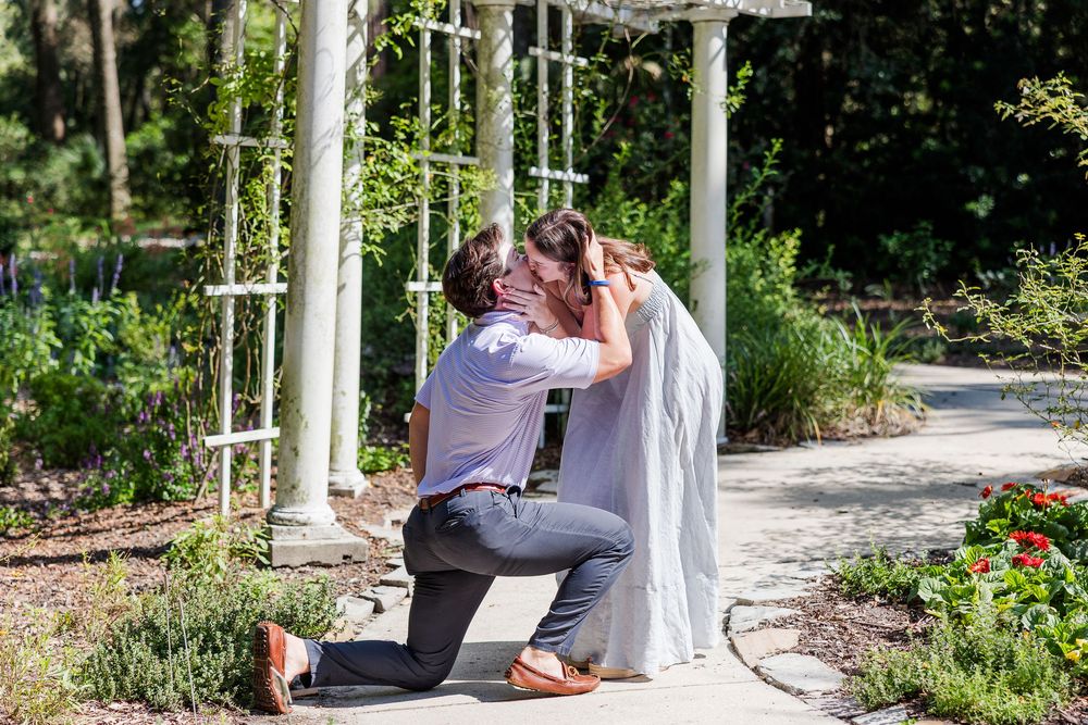 Man on one knee proposing to woman in white dress in a garden with white arbor and red flowers.