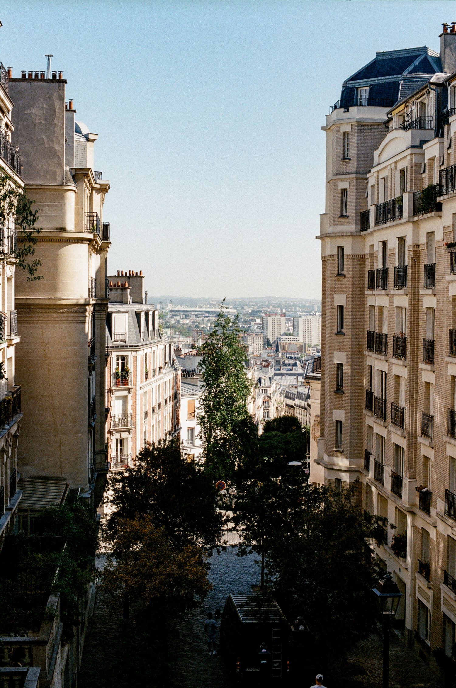 Sacré-Cœur Basilica in Paris rises above lush green gardens under a clear blue sky in Montmartre.
