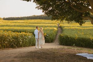 Couple walking hand in hand along a sunflower field path at golden hour sunset.