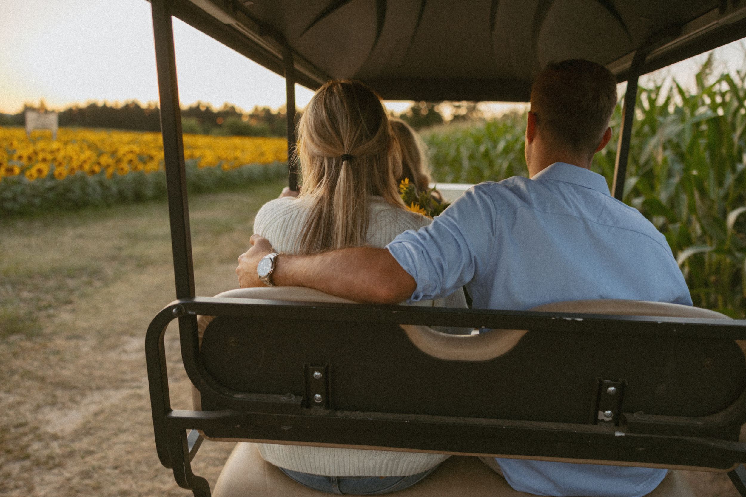 Couple riding a golf cart past sunflower and corn fields at sunset.